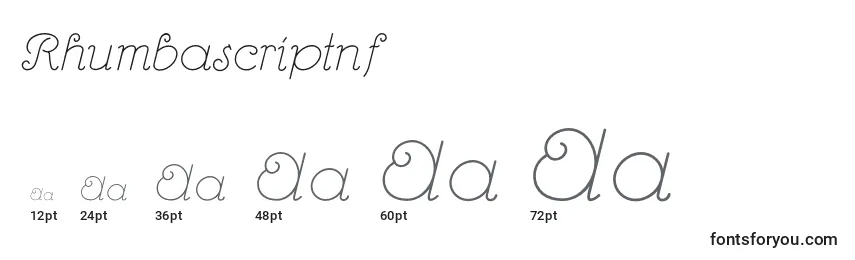 sizes of rhumbascriptnf font, rhumbascriptnf sizes