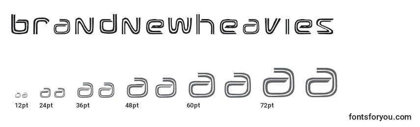 sizes of brandnewheavies font, brandnewheavies sizes