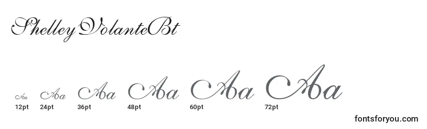 sizes of shelleyvolantebt font, shelleyvolantebt sizes