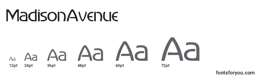 sizes of madisonavenue font, madisonavenue sizes