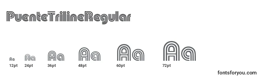 sizes of puentetrilineregular font, puentetrilineregular sizes