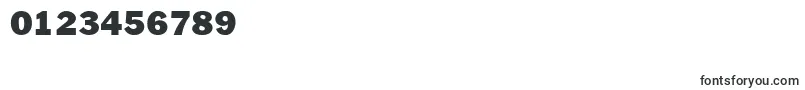 PaschDisplaySsi Font – Fonts for Numbers and Digits
