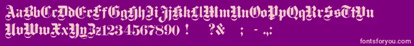 DampfplatzSolidBlack Font – Pink Fonts on Purple Background