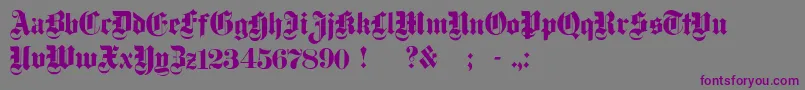 DampfplatzSolidBlack Font – Purple Fonts on Gray Background