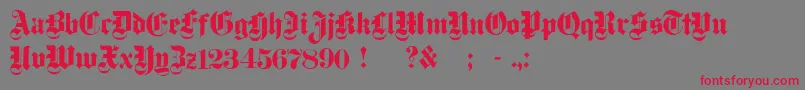フォントDampfplatzSolidBlack – 赤い文字の灰色の背景