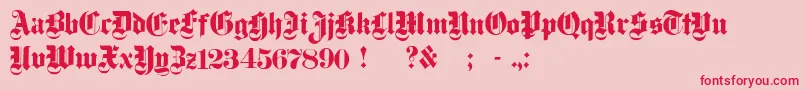 フォントDampfplatzSolidBlack – ピンクの背景に赤い文字