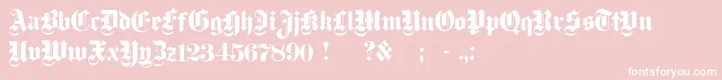 フォントDampfplatzSolidBlack – ピンクの背景に白い文字