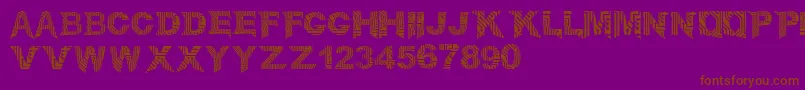 CircuitMage Font – Brown Fonts on Purple Background