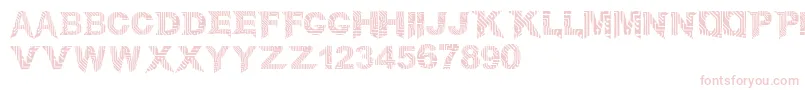 CircuitMage Font – Pink Fonts on White Background