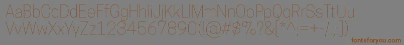 CooperhewittThin Font – Brown Fonts on Gray Background