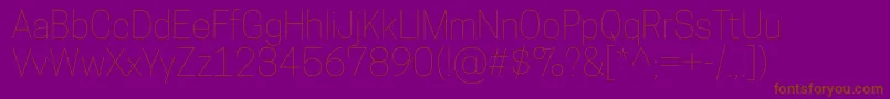 CooperhewittThin Font – Brown Fonts on Purple Background