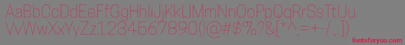 CooperhewittThin Font – Red Fonts on Gray Background