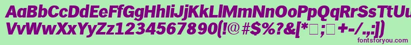 HieroDisplaySsiItalic Font – Purple Fonts on Green Background