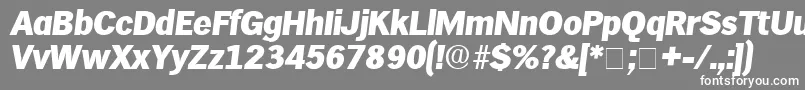 Czcionka HieroDisplaySsiItalic – białe czcionki na szarym tle
