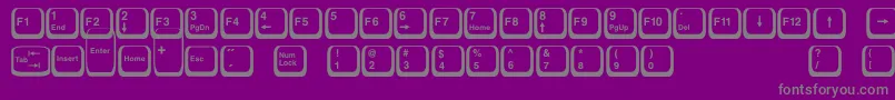 Keyboard2-Schriftart – Graue Schriften auf violettem Hintergrund