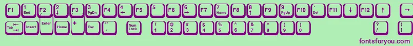 Keyboard2 Font – Purple Fonts on Green Background