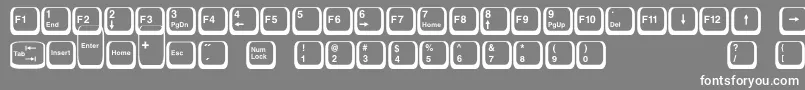 Police Keyboard2 – polices blanches sur fond gris