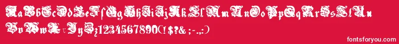 フォントUechiBold – 赤い背景に白い文字