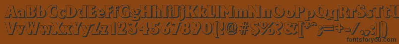 AdelonshadowHeavyRegular Font – Black Fonts on Brown Background