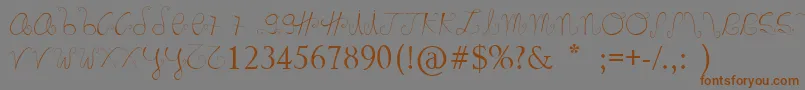 フォントMarnoc – 茶色の文字が灰色の背景にあります。