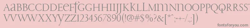 PfgaramondClassicUnicase Font – Gray Fonts on Pink Background