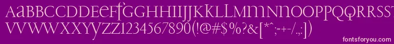 PfgaramondClassicUnicase Font – Pink Fonts on Purple Background