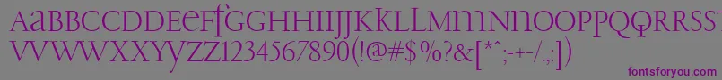 Шрифт PfgaramondClassicUnicase – фиолетовые шрифты на сером фоне