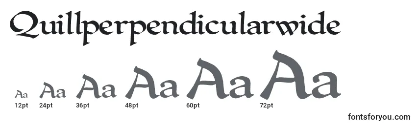 Größen der Schriftart Quillperpendicularwide