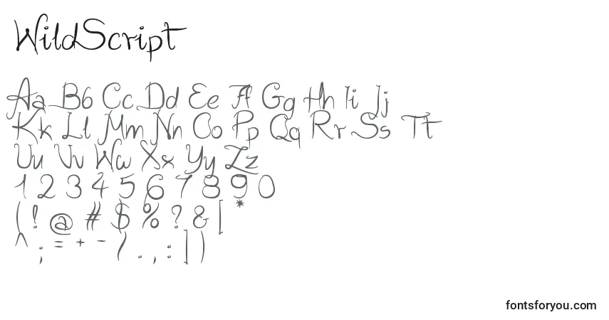 Czcionka WildScript – alfabet, cyfry, specjalne znaki