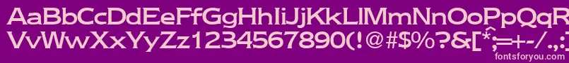 NebraskamediumRegularDb Font – Pink Fonts on Purple Background