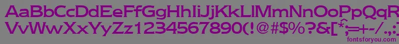NebraskamediumRegularDb Font – Purple Fonts on Gray Background