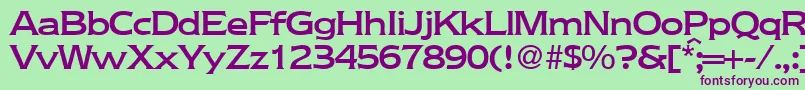 NebraskamediumRegularDb Font – Purple Fonts on Green Background