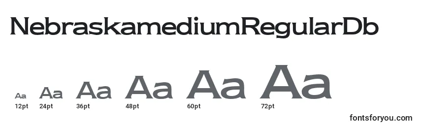 Размеры шрифта NebraskamediumRegularDb