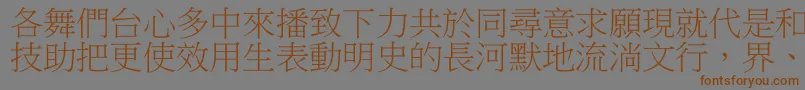 フォントDfbiaosong1b – 茶色の文字が灰色の背景にあります。