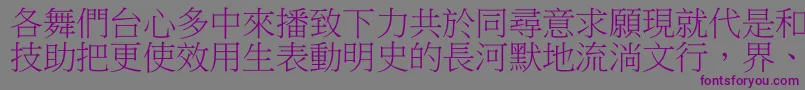 フォントDfbiaosong1b – 紫色のフォント、灰色の背景