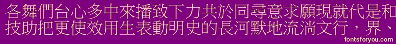 フォントDfbiaosong1b – 紫の背景に黄色のフォント