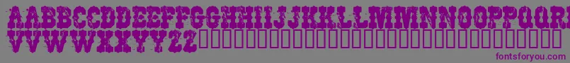 WorkingClassHero Font – Purple Fonts on Gray Background