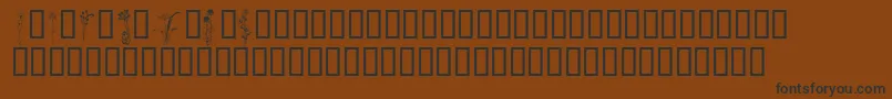 Шрифт KrClassicFleur2 – чёрные шрифты на коричневом фоне