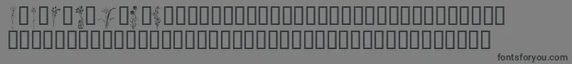 Шрифт KrClassicFleur2 – чёрные шрифты на сером фоне