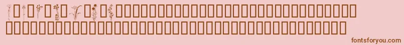 KrClassicFleur2 Font – Brown Fonts on Pink Background