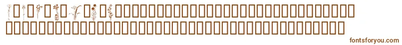Шрифт KrClassicFleur2 – коричневые шрифты на белом фоне