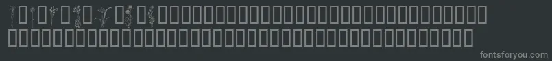 Czcionka KrClassicFleur2 – szare czcionki na czarnym tle