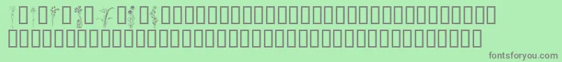 En savoir plus sur la police KrClassicFleur2 Police KrClassicFleur2 – polices grises sur fond vert