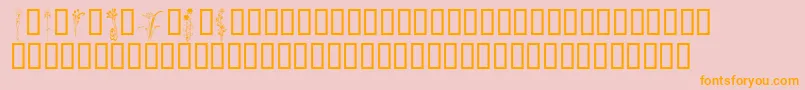 More about KrClassicFleur2 Font KrClassicFleur2 Font – Orange Fonts on Pink Background