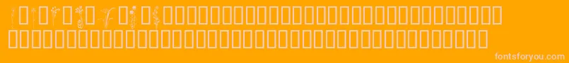 KrClassicFleur2 Font – Pink Fonts on Orange Background