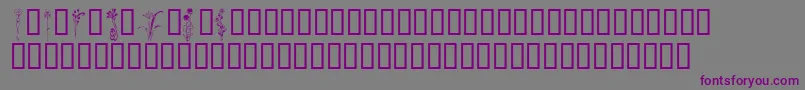 KrClassicFleur2 Font – Purple Fonts on Gray Background