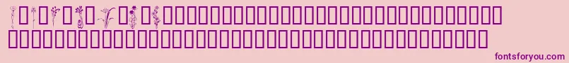 KrClassicFleur2 Font – Purple Fonts on Pink Background