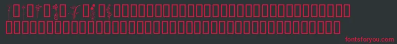 KrClassicFleur2 Font – Red Fonts on Black Background
