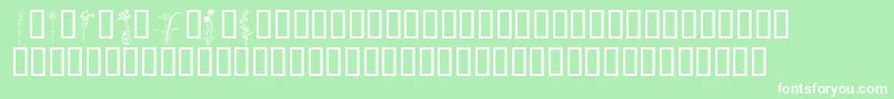KrClassicFleur2 Font – White Fonts on Green Background