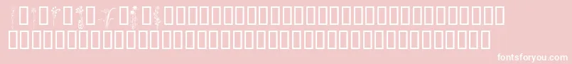 KrClassicFleur2 Font – White Fonts on Pink Background